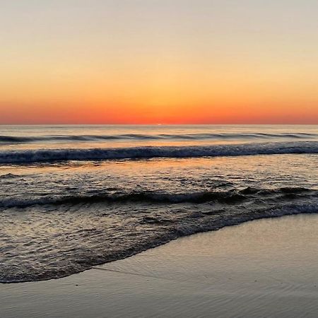 Palm Appart Biscarrosse-Plage Εξωτερικό φωτογραφία