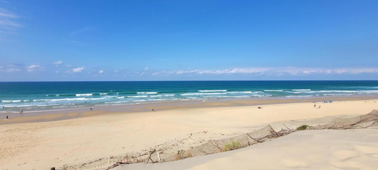 Palm Appart Biscarrosse-Plage Εξωτερικό φωτογραφία